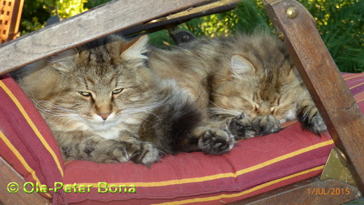 Max von der Gronau kuschelt mit Mama Catjuscha