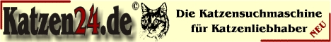 Katzen 24
