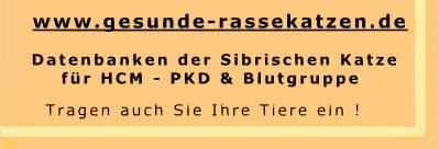 sibirische katzen von der Gronau